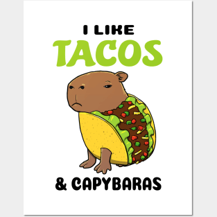 I Like Tacos and Capybaras Posters and Art